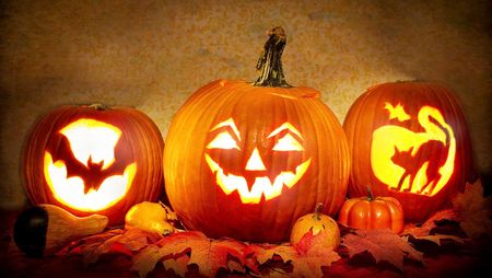 Drei ausgehöllte Kürbisse leuchten zu Halloween