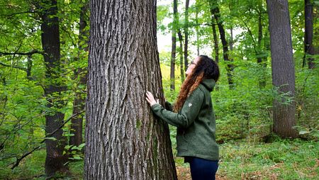 Eine Person berüht einen Baum im Wald mit ihren Händen