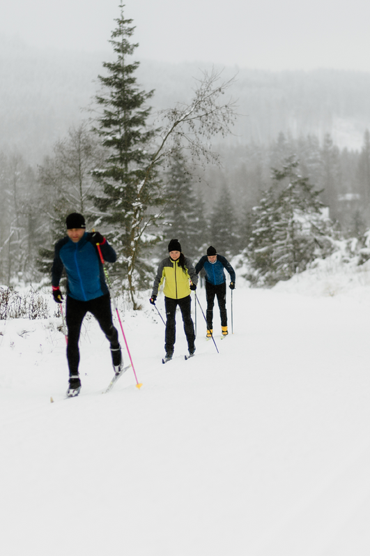 drei Skilangläufer hintereinander in Schierker Loipe