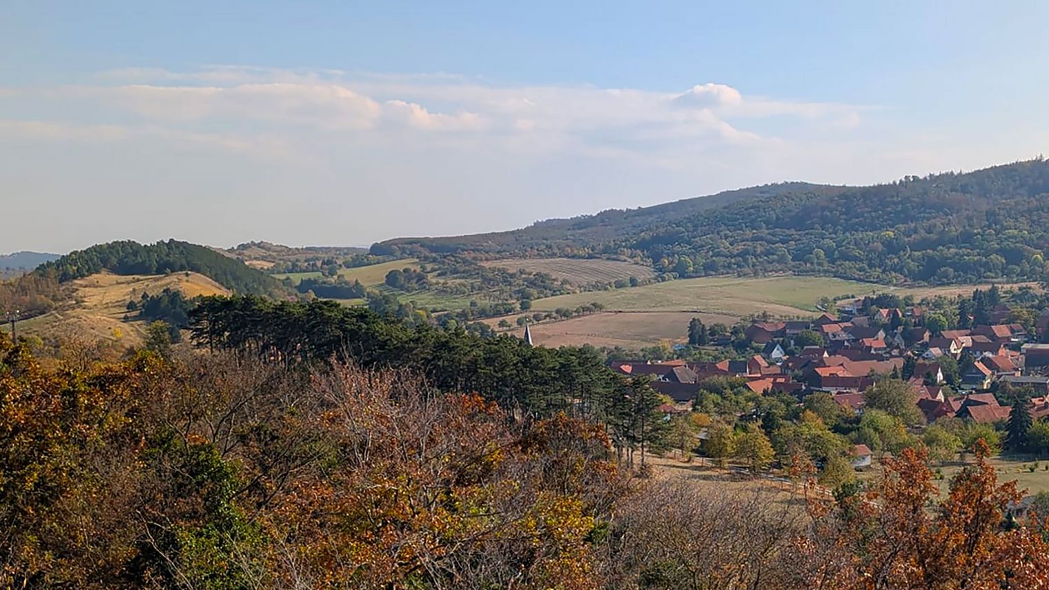 Herbstfärbung bei Benzingerode