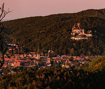 Schloss Wernigerode in der Abendsonne über der Stadt