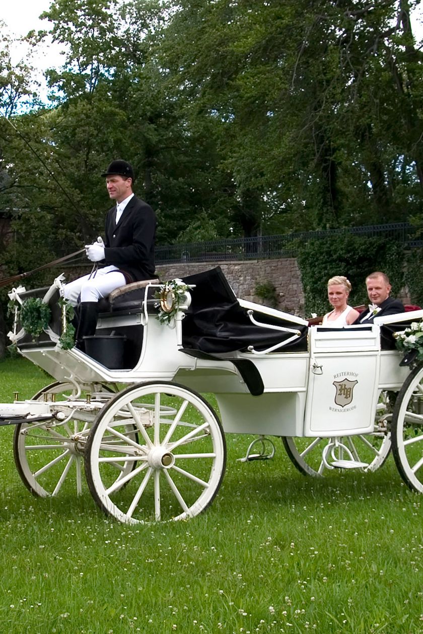 Eine Hochzeitskutsche steht auf dem Rasen im Lustgarten Wernigerode.