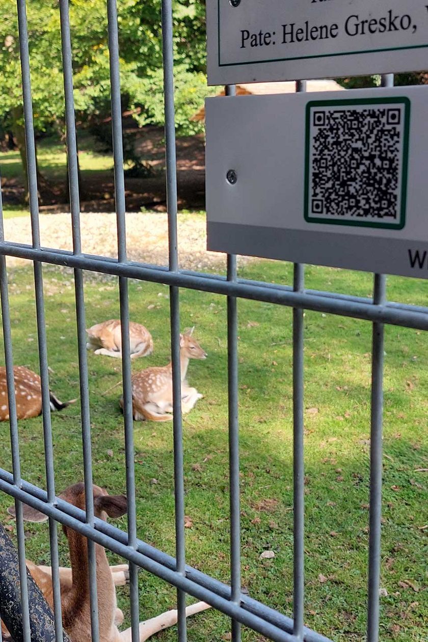 Am Zaun des Wildtiergeheges ist ein Schild mit einem QR-Code zur Rallye durch den Wildpark Christianental angebracht.