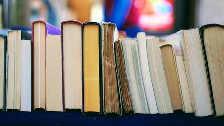 In einem Regal stehen Bücher nebeneinandergereiht.